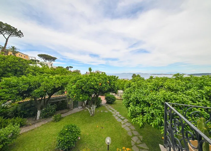 Il Sogno Di Chiara, Ischia